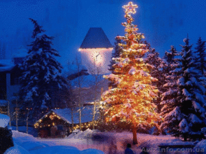 Тур на Рождество в Закарпатье - <ro>Изображение</ro><ru>Изображение</ru> #3, <ru>Объявление</ru> #1188794