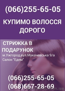 Скупка волосся Ужгород Продати волосся в Ужгороді дорого - <ro>Изображение</ro><ru>Изображение</ru> #1, <ru>Объявление</ru> #1557307