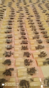 Продаються бджоломатки карпатка, Червеньово - <ro>Изображение</ro><ru>Изображение</ru> #2, <ru>Объявление</ru> #1683604