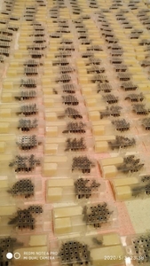 Продаются пчеломатки Карпатка. Бджоломатки - <ro>Изображение</ro><ru>Изображение</ru> #4, <ru>Объявление</ru> #1700621