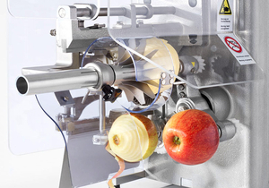 Машина для чистки, нарезания, удаления сердцевины яблок 70-100 кг/час - <ro>Изображение</ro><ru>Изображение</ru> #2, <ru>Объявление</ru> #1135840