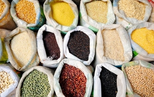 Крупа оптом (весовая и фасованная) в ассортименте 