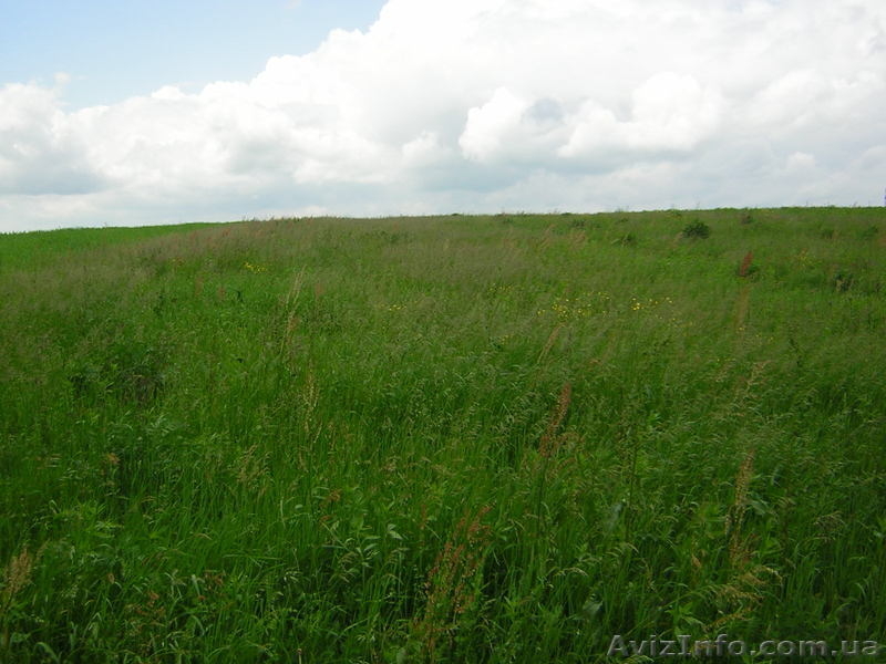 Участок в живописном месте - <ro>Изображение</ro><ru>Изображение</ru> #5, <ru>Объявление</ru> #199773