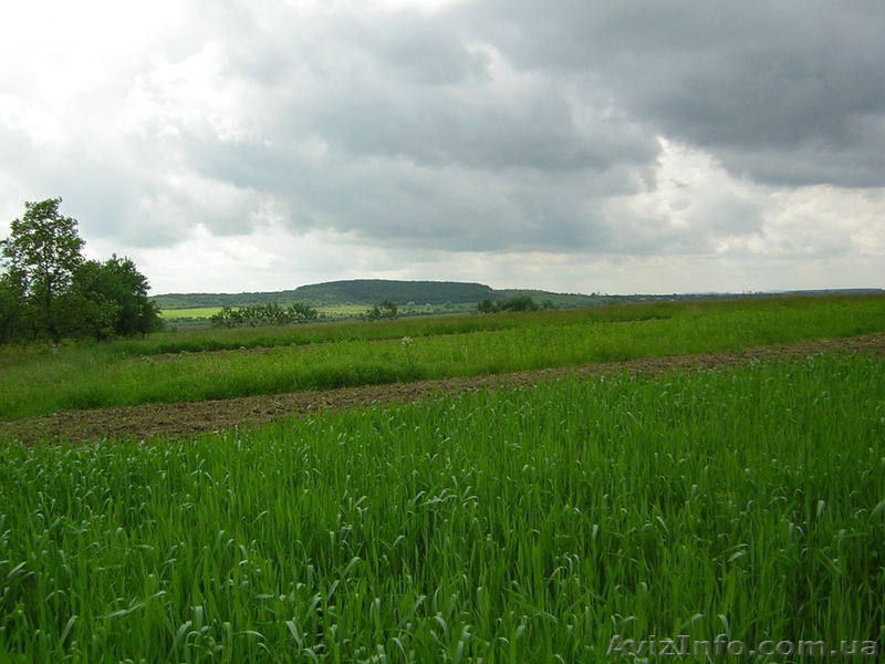 Участок в живописном месте - <ro>Изображение</ro><ru>Изображение</ru> #2, <ru>Объявление</ru> #199773