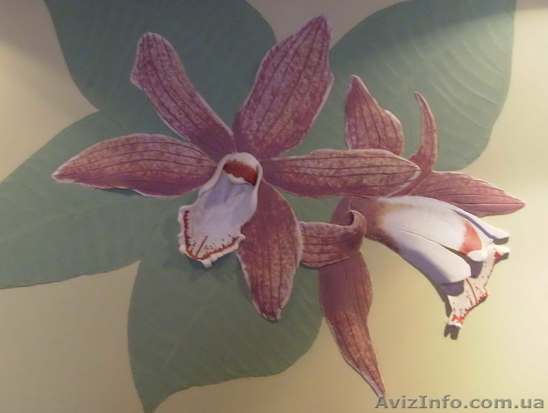 Художественное оформление - <ro>Изображение</ro><ru>Изображение</ru> #8, <ru>Объявление</ru> #16812