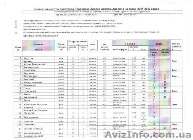 саженцы 58 сортов винограда - <ro>Изображение</ro><ru>Изображение</ru> #1, <ru>Объявление</ru> #544015