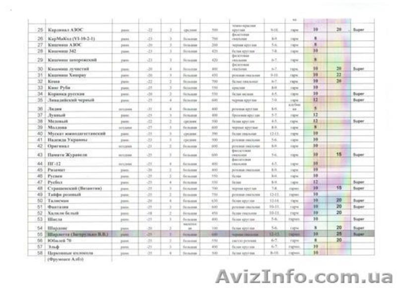 саженцы 58 сортов винограда - <ro>Изображение</ro><ru>Изображение</ru> #2, <ru>Объявление</ru> #544015