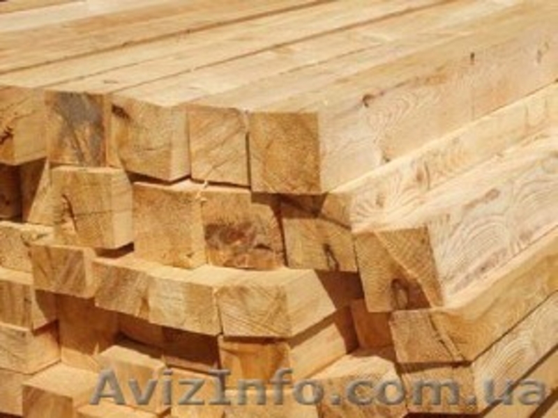 Лиственница сибирская Ужгород Украина - <ro>Изображение</ro><ru>Изображение</ru> #6, <ru>Объявление</ru> #153198