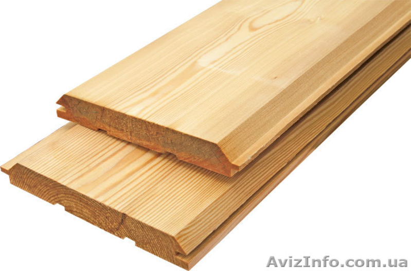 Лиственница сибирская Ужгород Украина - <ro>Изображение</ro><ru>Изображение</ru> #5, <ru>Объявление</ru> #153198