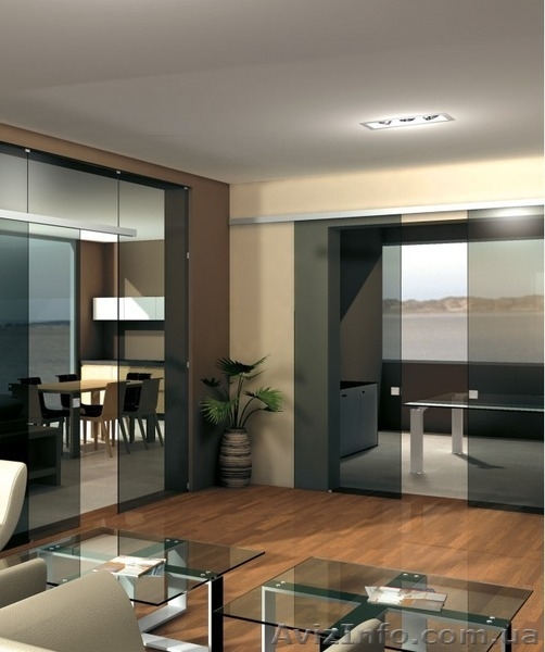 двери стеклянные,стеклянные конструкции,стеклянные перегородки - <ro>Изображение</ro><ru>Изображение</ru> #3, <ru>Объявление</ru> #787455