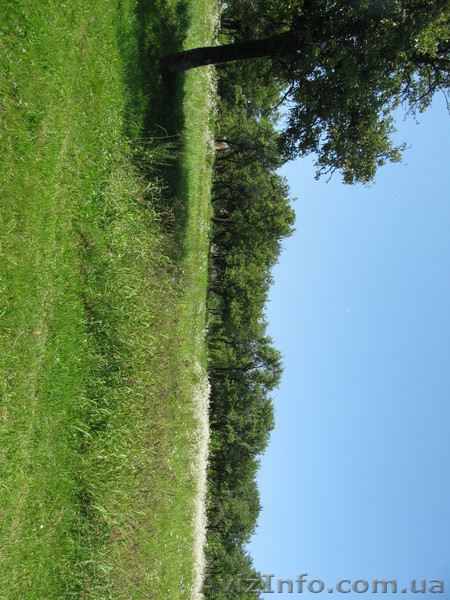 земля с домом на большом участке земли-0.55га - <ro>Изображение</ro><ru>Изображение</ru> #11, <ru>Объявление</ru> #801045