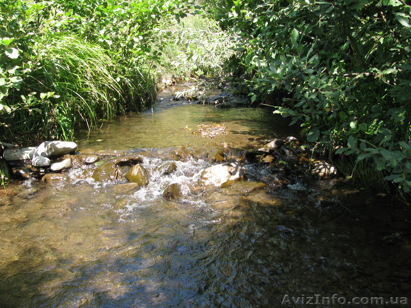 земля с домом на большом участке земли-0.55га - <ro>Изображение</ro><ru>Изображение</ru> #5, <ru>Объявление</ru> #801045
