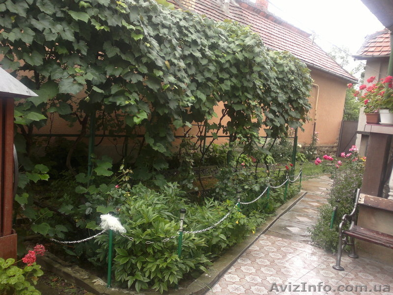 Відпочинок в Берегові "термальні води" - <ro>Изображение</ro><ru>Изображение</ru> #2, <ru>Объявление</ru> #820342