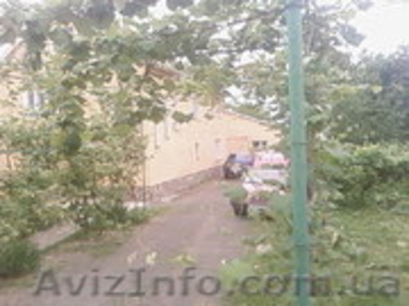 Пригород Ужгорода Продам два дома на одном большом участке - <ro>Изображение</ro><ru>Изображение</ru> #2, <ru>Объявление</ru> #901083