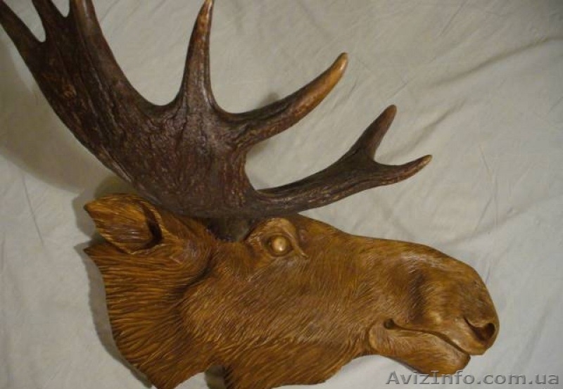 Продам ВЕЛИКУ колекцію мисливських трофеїв: оленя, косулі, лося - <ro>Изображение</ro><ru>Изображение</ru> #2, <ru>Объявление</ru> #946743