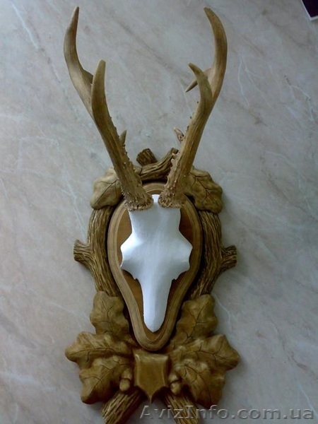 Продам ВЕЛИКУ колекцію мисливських трофеїв: оленя, косулі, лося - <ro>Изображение</ro><ru>Изображение</ru> #3, <ru>Объявление</ru> #946743