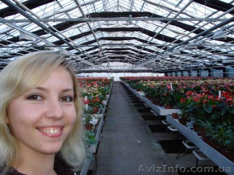 Cтажировка за рубежом СПІЛКА АГРАРНОЇ МОЛОДІ - <ro>Изображение</ro><ru>Изображение</ru> #1, <ru>Объявление</ru> #1030493