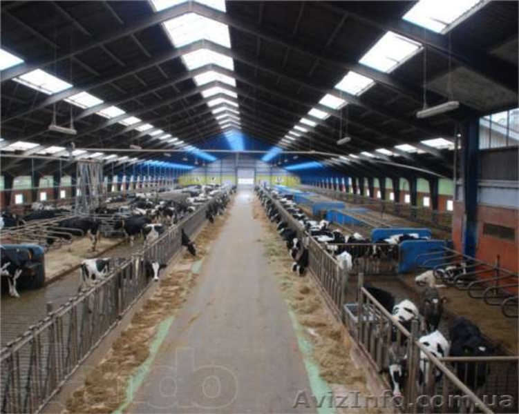 Cтажировка за рубежом СПІЛКА АГРАРНОЇ МОЛОДІ - <ro>Изображение</ro><ru>Изображение</ru> #2, <ru>Объявление</ru> #1030493