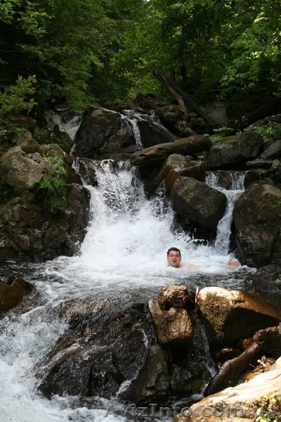 Отдых в Карпатах дом в горах - <ro>Изображение</ro><ru>Изображение</ru> #3, <ru>Объявление</ru> #1087892