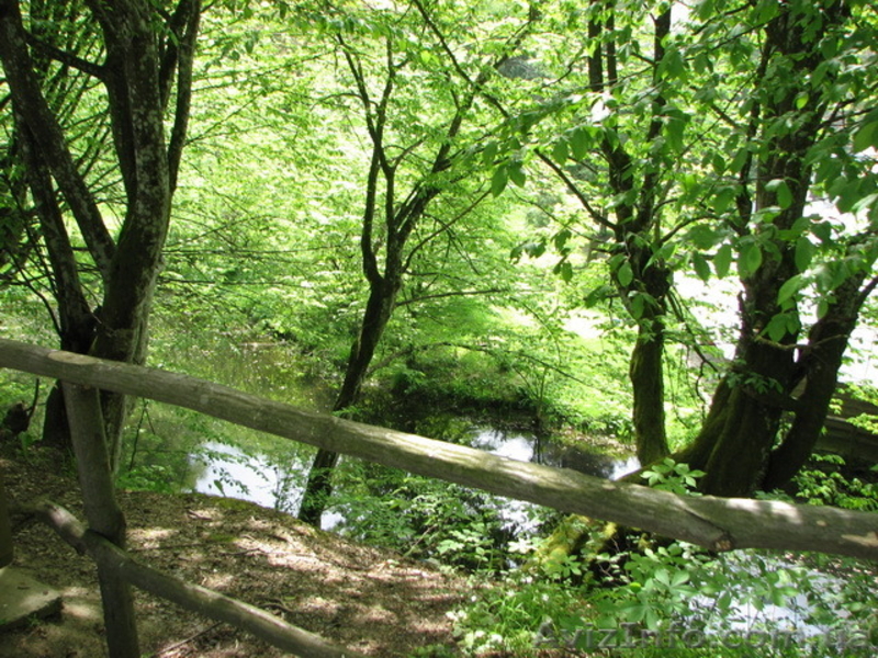 ТОК "Лумшоры" приглашает на отдых - <ro>Изображение</ro><ru>Изображение</ru> #6, <ru>Объявление</ru> #1071305