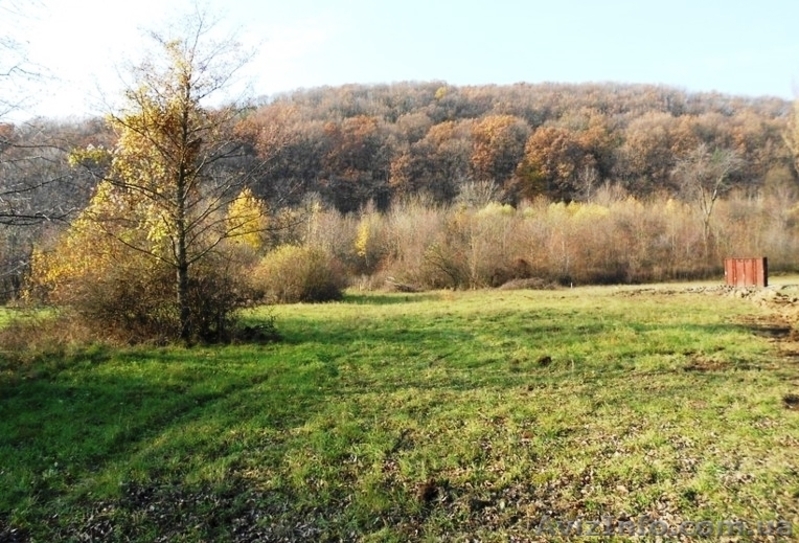 Участок 95 сот, под индивидуальное строительство - <ro>Изображение</ro><ru>Изображение</ru> #3, <ru>Объявление</ru> #1187622