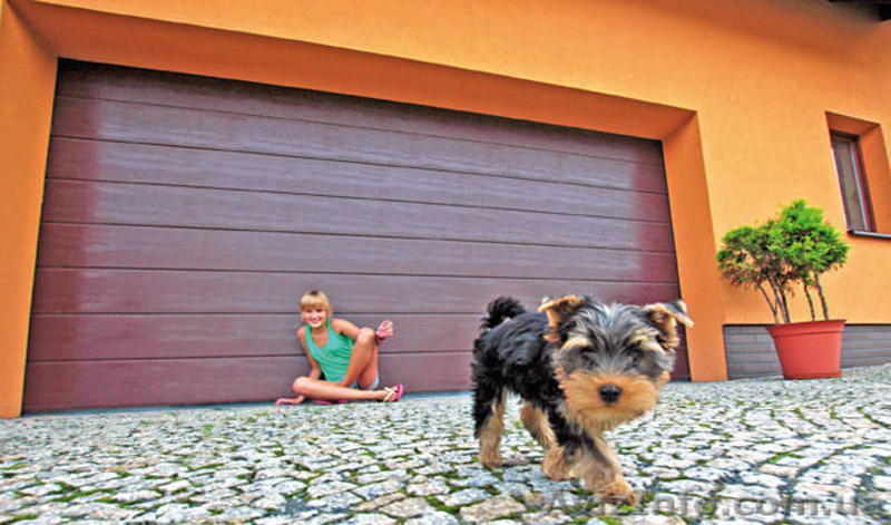 Акції, гаражні ворота - <ro>Изображение</ro><ru>Изображение</ru> #2, <ru>Объявление</ru> #1183367