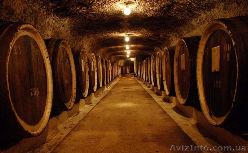 Тур в Закарпатье на 8 марта "Фестиваль "Белое вино" в честь милых дам" - <ro>Изображение</ro><ru>Изображение</ru> #3, <ru>Объявление</ru> #1221351