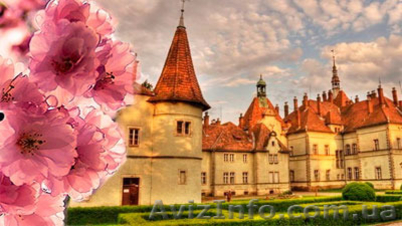 Тур в Закарпатье на 8 марта "Фестиваль "Белое вино" в честь милых дам" - <ro>Изображение</ro><ru>Изображение</ru> #2, <ru>Объявление</ru> #1221351