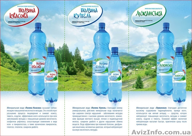 Карпати-Буд.ООО.Поляна Квасова. - <ro>Изображение</ro><ru>Изображение</ru> #1, <ru>Объявление</ru> #1213367