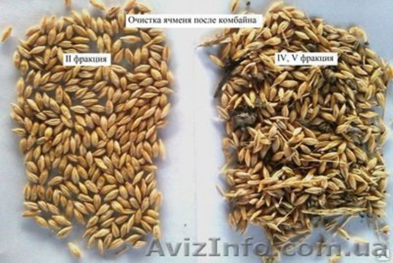 Продам сепаратор для чистки и калібровки зерна IСМ-5 - <ro>Изображение</ro><ru>Изображение</ru> #7, <ru>Объявление</ru> #1231029