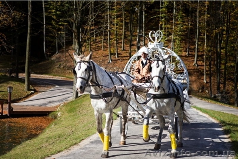 Экскурсия в Воеводино "Парк Шенборна, кони и форель"  - <ro>Изображение</ro><ru>Изображение</ru> #1, <ru>Объявление</ru> #1274832