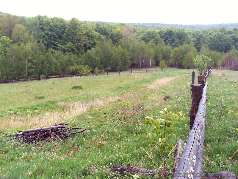 27 соток в с. Грабово Мукачевского р-на Закарпатье - <ro>Изображение</ro><ru>Изображение</ru> #2, <ru>Объявление</ru> #1207082