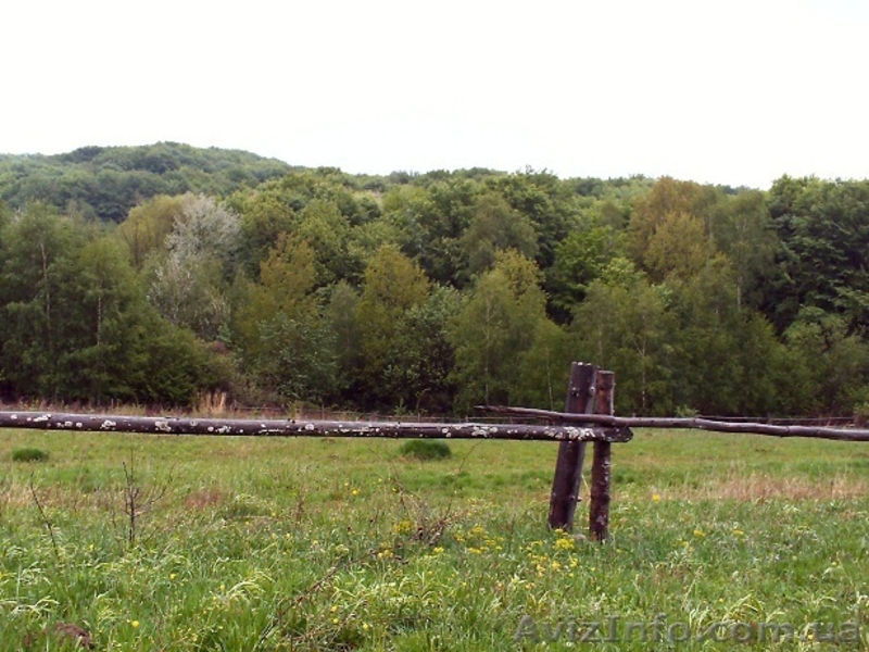 27 соток в с. Грабово Мукачевского р-на Закарпатье - <ro>Изображение</ro><ru>Изображение</ru> #3, <ru>Объявление</ru> #1207082