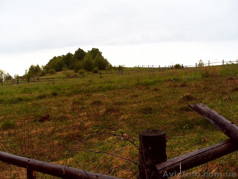 27 соток в с. Грабово Мукачевского р-на Закарпатье - <ro>Изображение</ro><ru>Изображение</ru> #5, <ru>Объявление</ru> #1207082