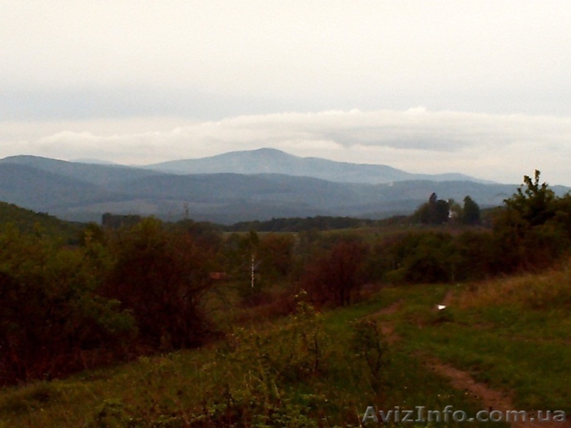 27 соток в с. Грабово Мукачевского р-на Закарпатье - <ro>Изображение</ro><ru>Изображение</ru> #7, <ru>Объявление</ru> #1207082