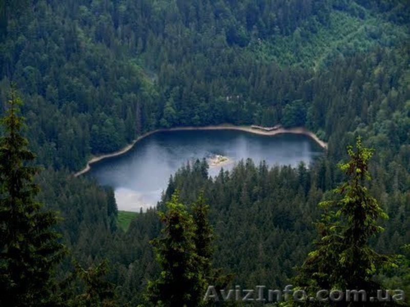 Экскурсия на Синевир «Жемчужины Межгорья» - <ro>Изображение</ro><ru>Изображение</ru> #3, <ru>Объявление</ru> #1277969