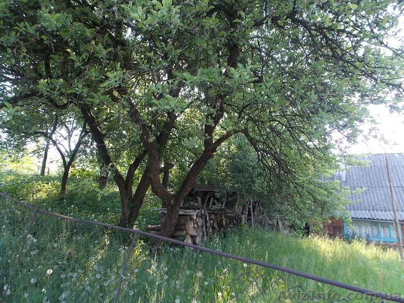 Дім+зем,ділянки+20%до пенсії+чиста вода,природа,повітря+торг+обмін - <ro>Изображение</ro><ru>Изображение</ru> #8, <ru>Объявление</ru> #1327155