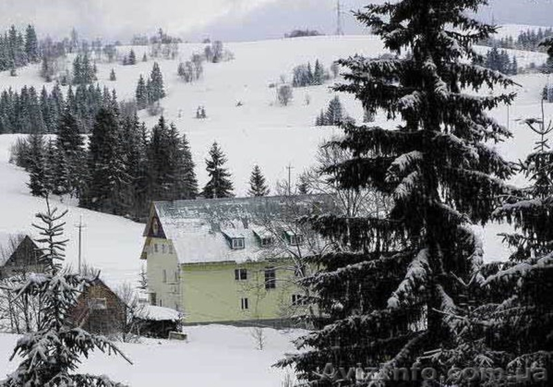 Отдых и работа в Закарпатье. Релаксационный и деловой туризм. - <ro>Изображение</ro><ru>Изображение</ru> #4, <ru>Объявление</ru> #1372414