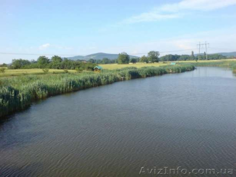  До Вашої уваги пропонується VIP пропозиція Озеро "Раю" на Закарпатті. - <ro>Изображение</ro><ru>Изображение</ru> #9, <ru>Объявление</ru> #1483893