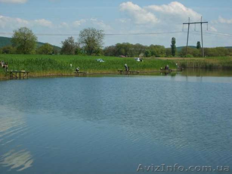  До Вашої уваги пропонується VIP пропозиція Озеро "Раю" на Закарпатті. - <ro>Изображение</ro><ru>Изображение</ru> #10, <ru>Объявление</ru> #1483893