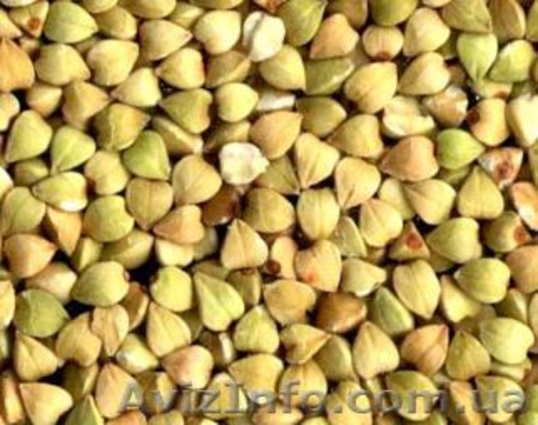 Сухофрукты, зернобобовые, орехи, мед, мука, семечки, орехи-оптом и в розницу! - <ro>Изображение</ro><ru>Изображение</ru> #5, <ru>Объявление</ru> #1515887