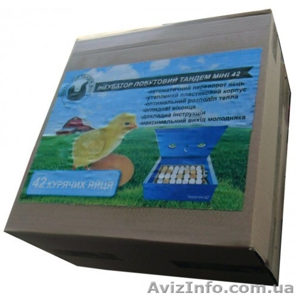Автоматический Инкубатор Тандем 60 мини (60 яиц) - <ro>Изображение</ro><ru>Изображение</ru> #4, <ru>Объявление</ru> #1607002