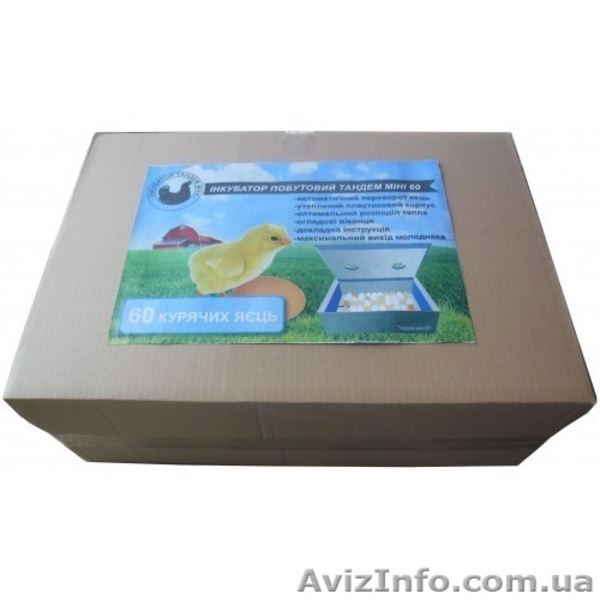 Автоматический Инкубатор Тандем 60 мини (60 яиц) - <ro>Изображение</ro><ru>Изображение</ru> #5, <ru>Объявление</ru> #1607002