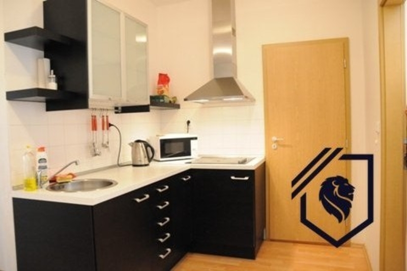 Уютная квартира в центре Праги - <ro>Изображение</ro><ru>Изображение</ru> #4, <ru>Объявление</ru> #1648008