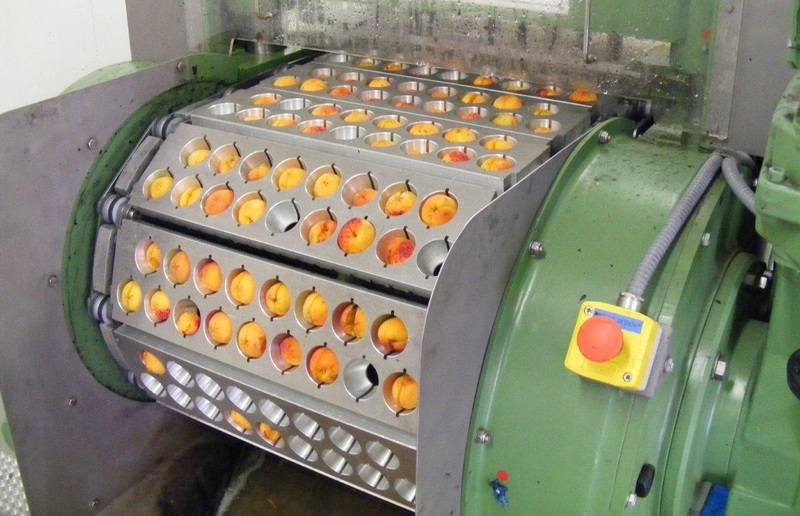 Машина для удаления косточек из вишни, сливы, абрикоса 1000 – 2000 кг/час - <ro>Изображение</ro><ru>Изображение</ru> #3, <ru>Объявление</ru> #1648767