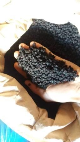 Предлагаем сушеные плоды черники карпатской - <ro>Изображение</ro><ru>Изображение</ru> #2, <ru>Объявление</ru> #1672833