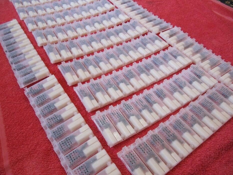 Пчеломатки карпатка. Бджоломатки карпатка - <ro>Изображение</ro><ru>Изображение</ru> #7, <ru>Объявление</ru> #1684986